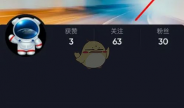 抖音视频怎么去水印,轻松获取无水印短视频